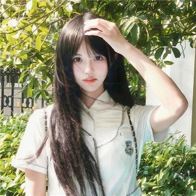 断线森林2 在线观看
